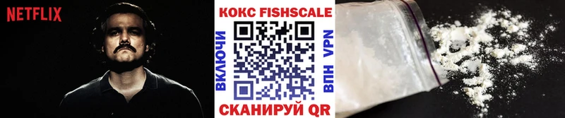 ссылка на мегу ССЫЛКА  где можно купить наркотик  Туапсе  Кокаин Fish Scale 