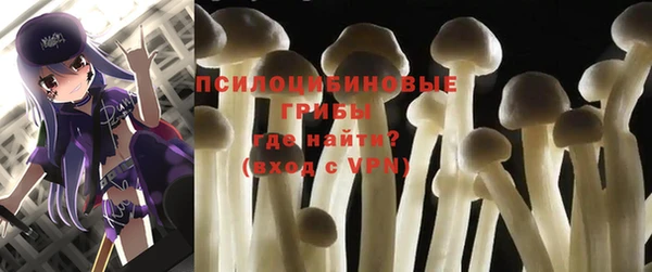 синтетический гашиш Белокуриха