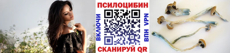Галлюциногенные грибы мухоморы  цена   Туапсе 